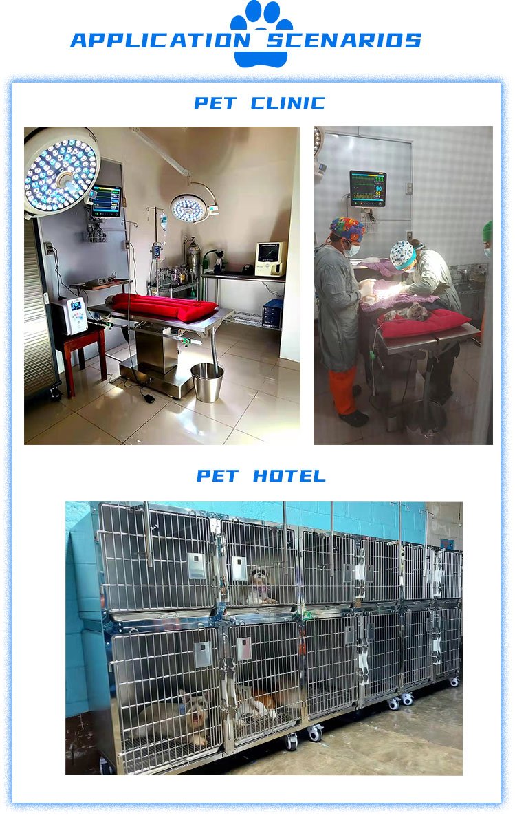 pet recovery cage